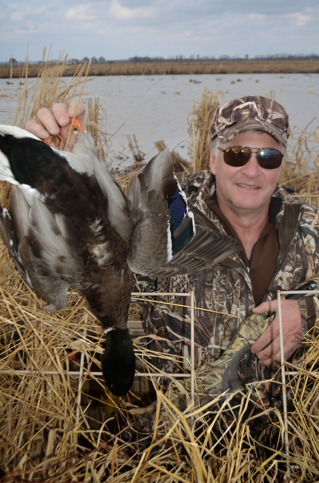 OUTSIDE AGAIN ADVENTURES: Rice Field Ducks