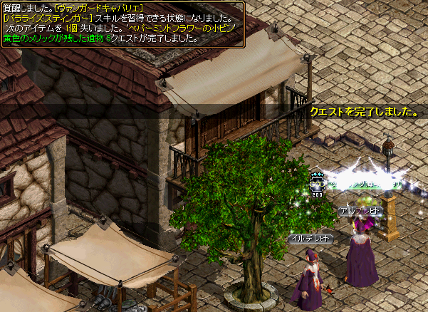 Rs Kumapon 19
