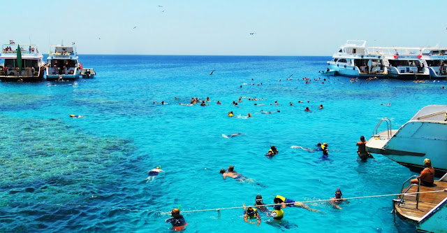 Hurghada Snorkeling