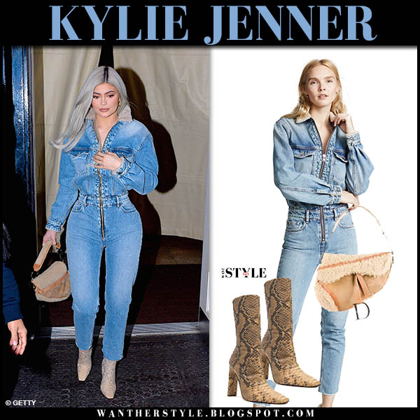 kylie denim jumpsuit
