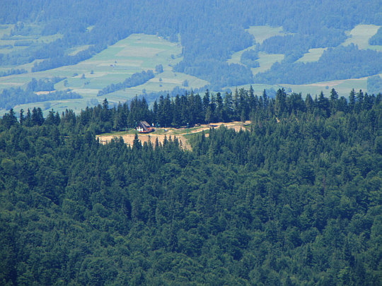 Szczyt Tobołów (994 m n.p.m.) - widok ze stoków Turbacza.