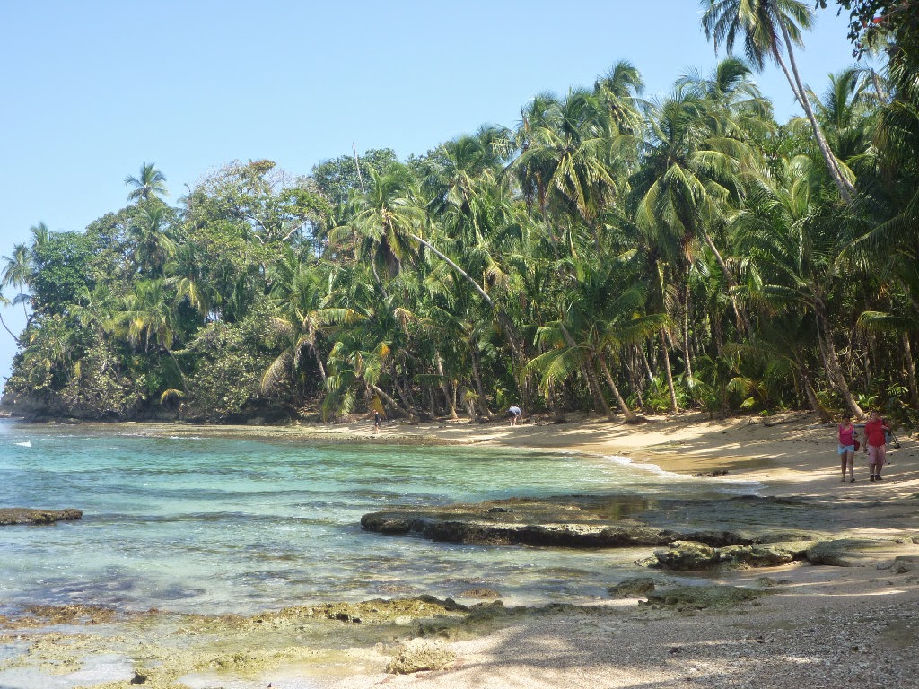 Isabel Wild Garden Home Rental in Manzanillo Caribe Costa Rica Manzanillo Limón, Costa Rica