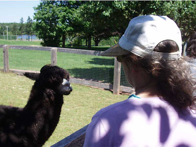  One last picture of me staring down the world’s ugliest Llama. That is all.