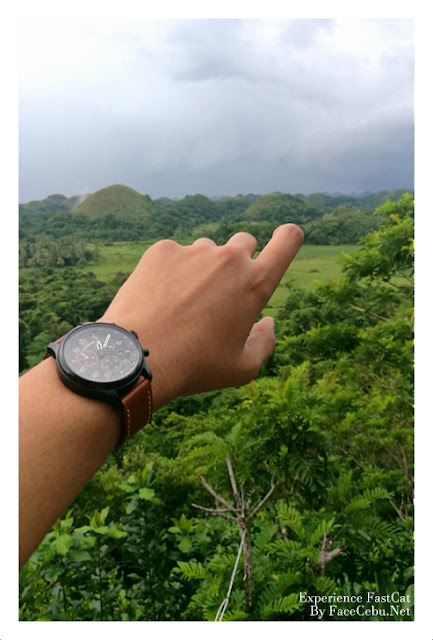 Timex Watch in Chocolate Hills Timex Watch in Chocolate Hills