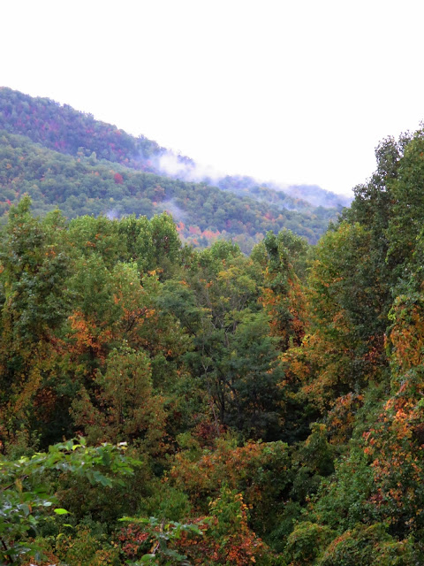 Great Smoky Mountains