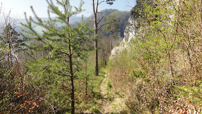 Roti-Flue-Trail Roti-Flue-Trail