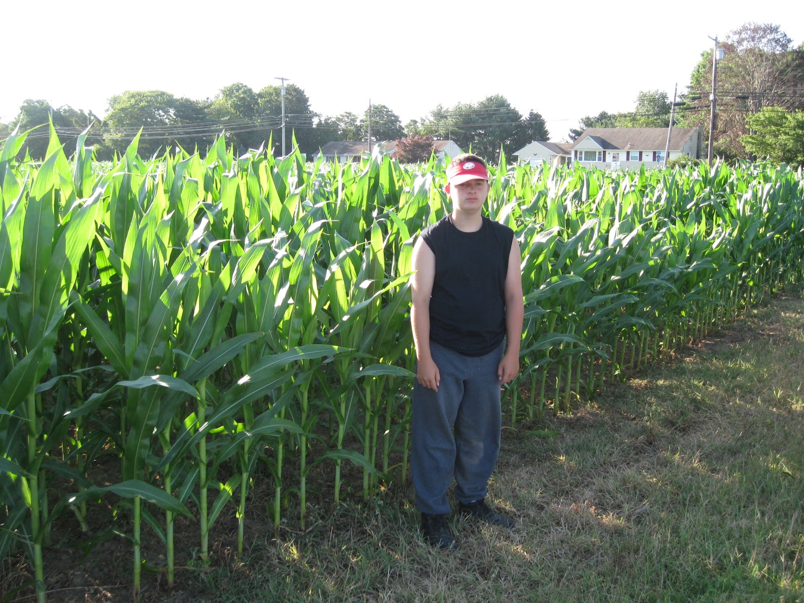 Amy's Awesome Nest Knee High by the 4th of July WW