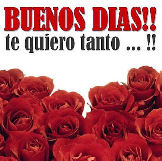 Imagenes De Rosas Con Buenos Dias Imagenes De Rosas Con Buenos Dias