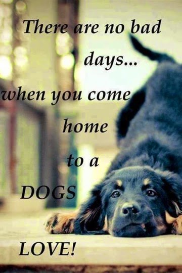 There are no bad days... when you come home to a DOGS LOVE.
