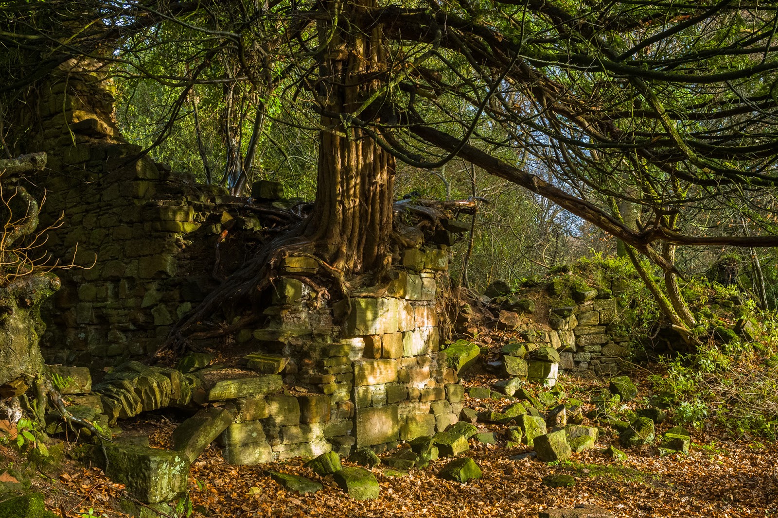 LesT Photos and News Walking Group Boswell House Estate