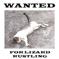criminal cat wanted for lizard poaching