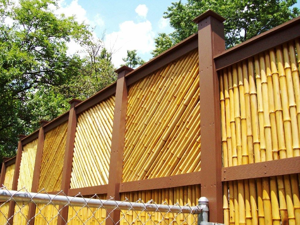 21 desain  dan harga pagar bambu  minimalis  termasuk pagar 