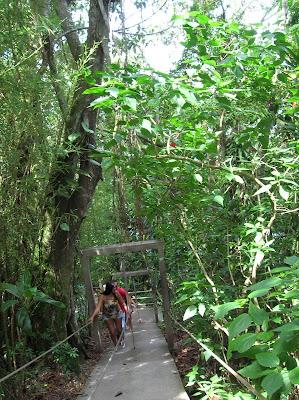 Senda Verde en el Morro de Urca, Río, Brasil, La vuelta al mundo de Asun y Ricardo, round the world, mundoporlibre.com