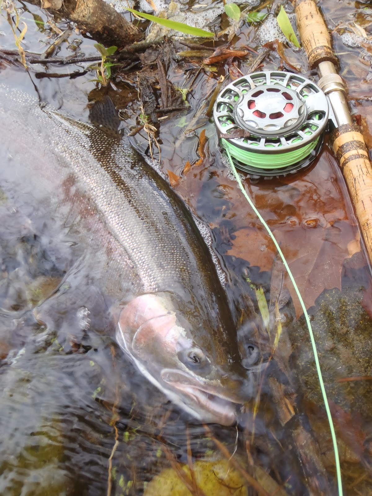 Irideus Fly Fishing Products Indicator fly fishing for California