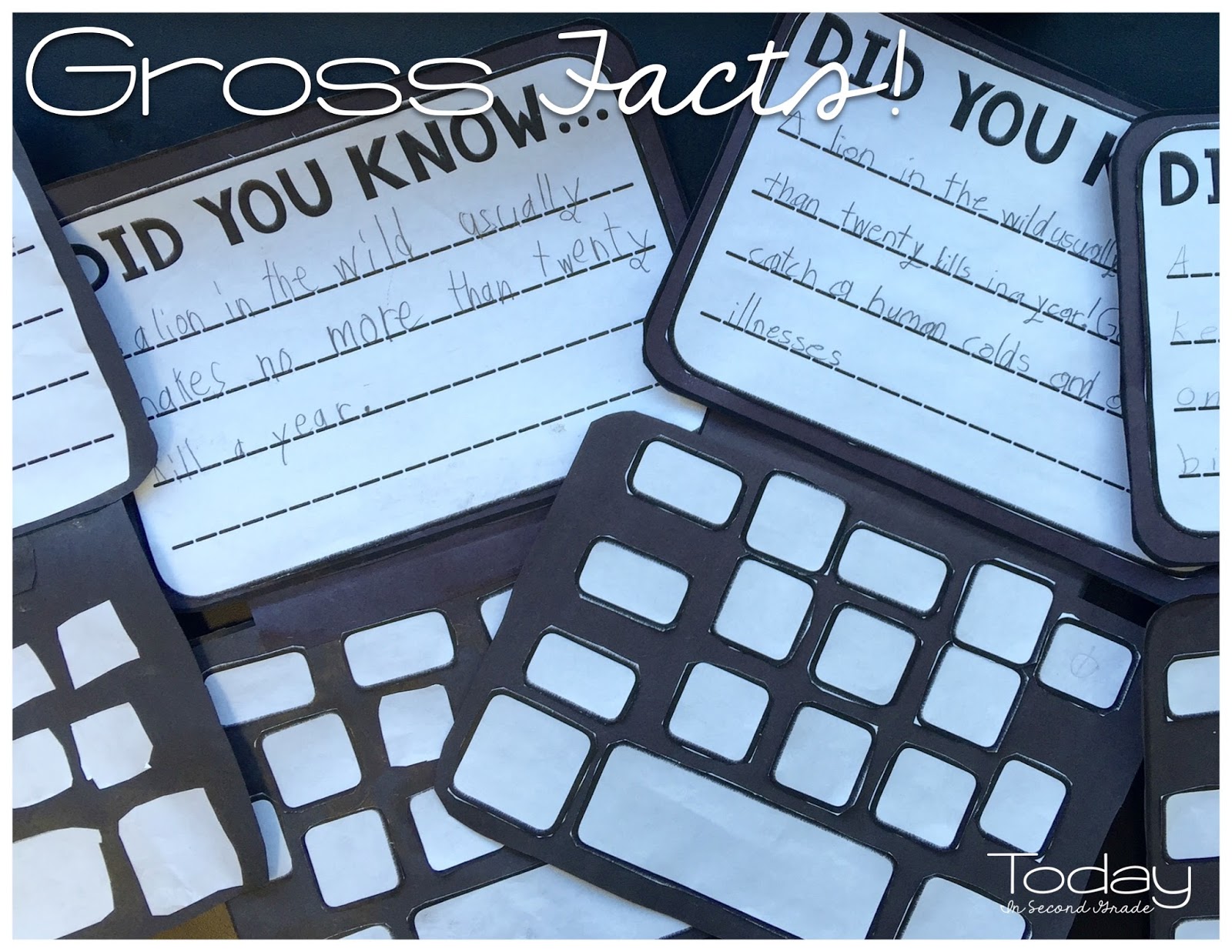 Gross Facts! - Today in Second Grade