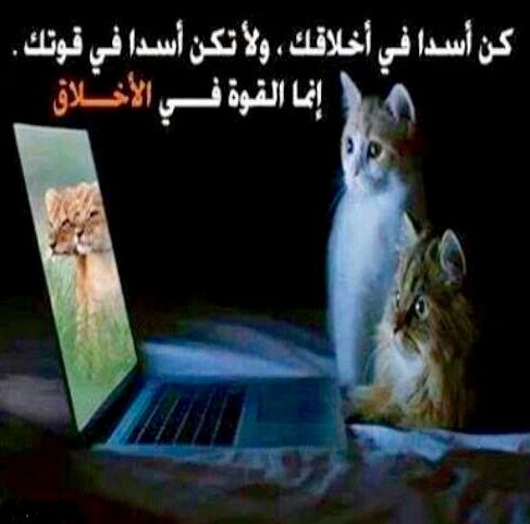 صور عن الاخلاق