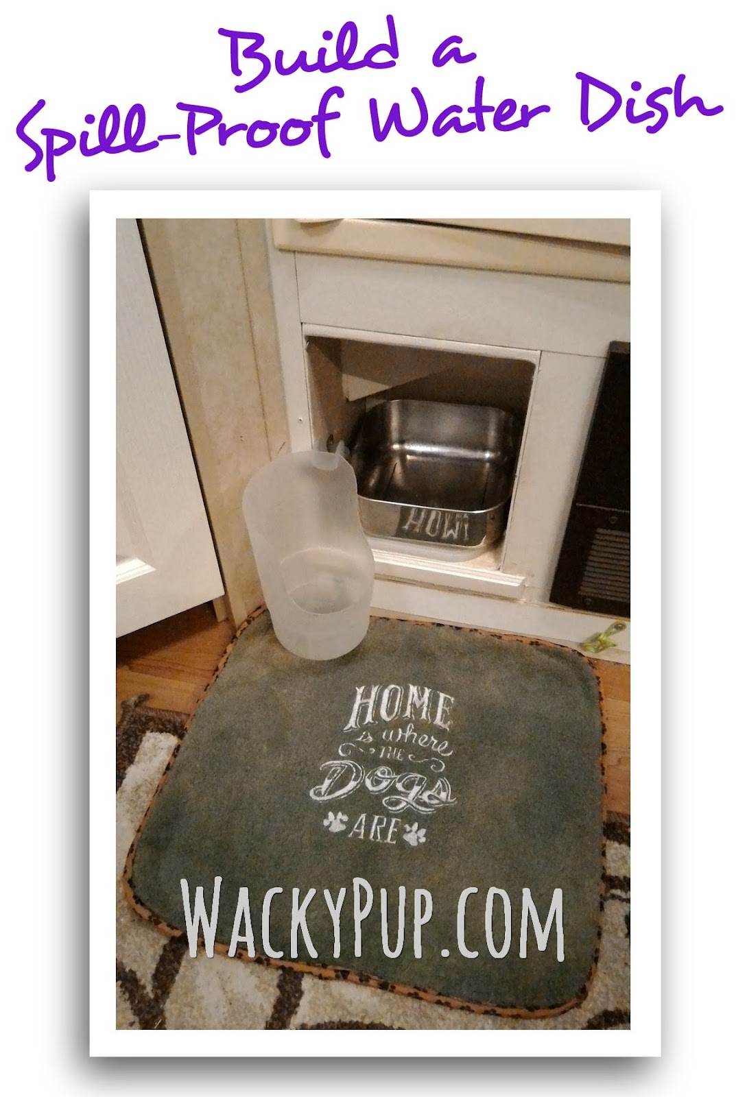 Wacky Pup SpillProof Dog Water Easy and Inexpensive! PLUS MORE