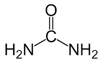 The molecular structure of urea, NH2CONH2.