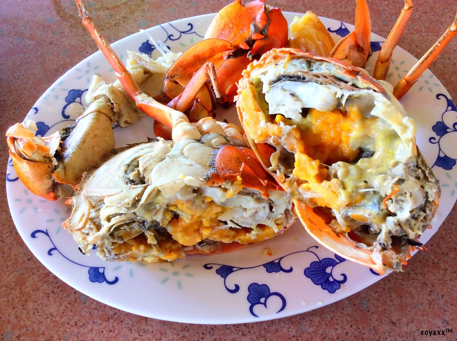 cOyxXx Roxas City, Capiz Your Next Food Capital