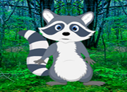 Games2Rule Rescue Raccoon from Forest Walkthrough