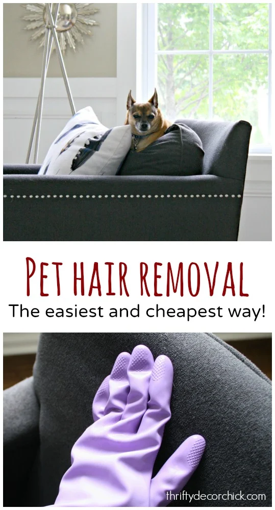 easiest way to remove pet hair