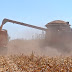Economia|Produtores de milho de MT querem aumentar produção de etanol de milho para 3,5 bilhões em 5 anos