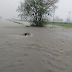 (videos) SANTA FE - LLUVIAS INTENSAS: CORONDA QUEDÓ BAJO AGUA. HAY MÁS DE 100 EVACUADOS