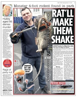 daily star page 5