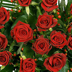 flowers flower nice supreme romantic loving roses unbranded comparestoreprices planets readmore beautyful newer leave reply