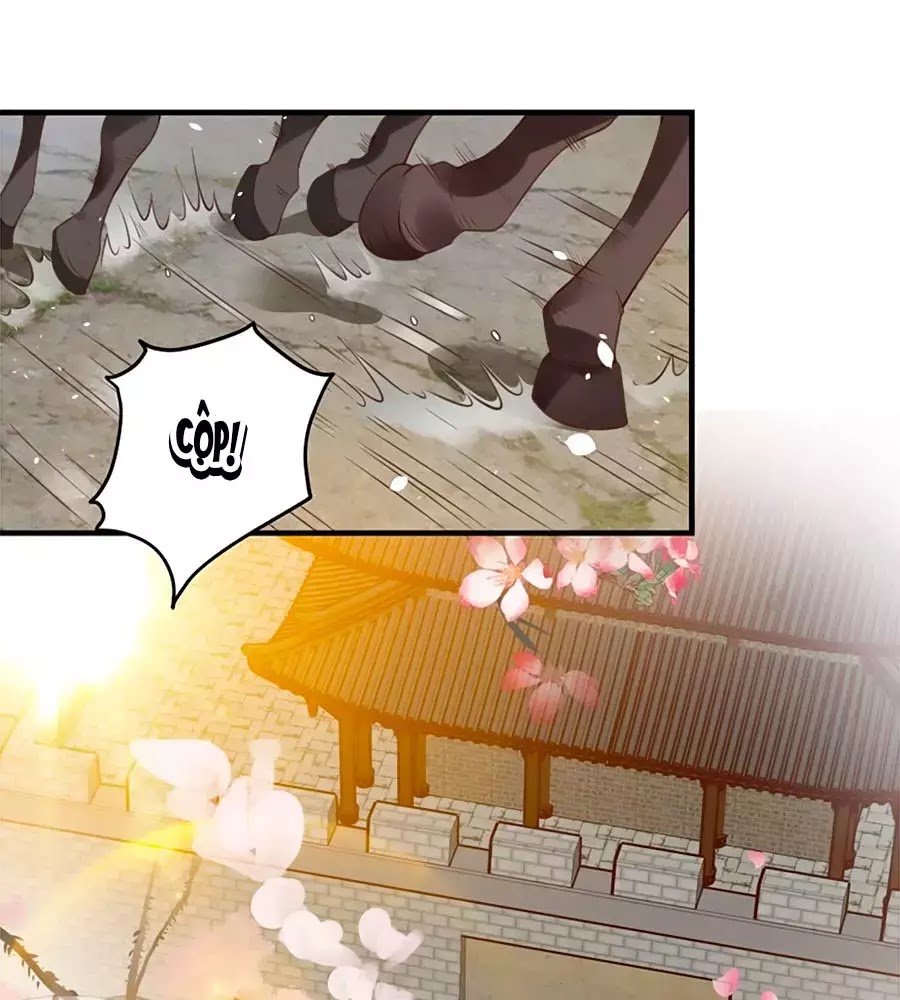 Thịnh Thế Lê Hoa Điện Chapter 94 - TC Truyện