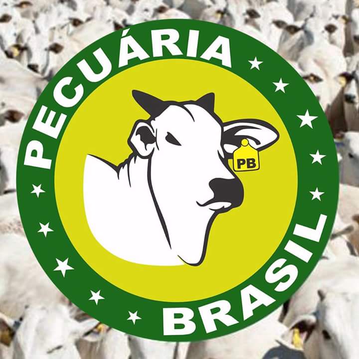 Pecuária Brasil