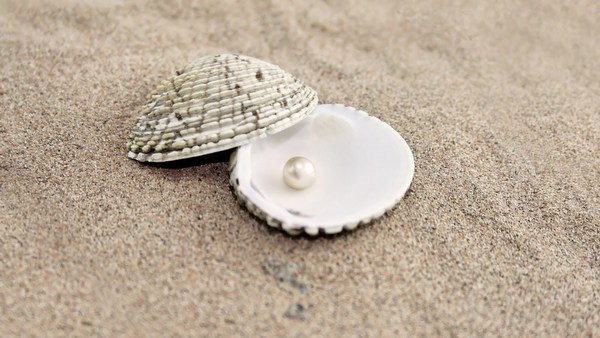 Romantic Images of Sip and Pearls