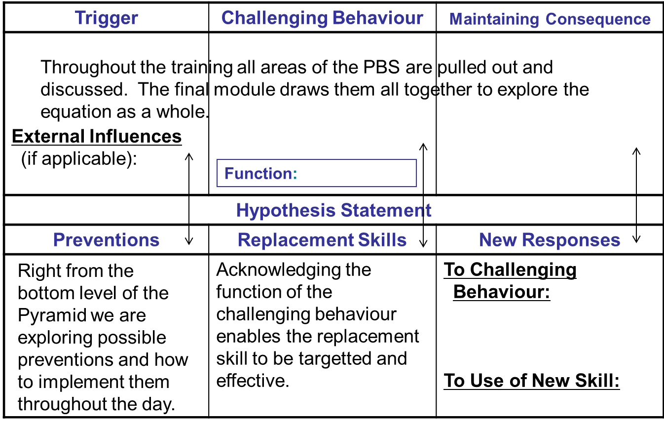positive-behaviour-support-intensive-individualised-interventions