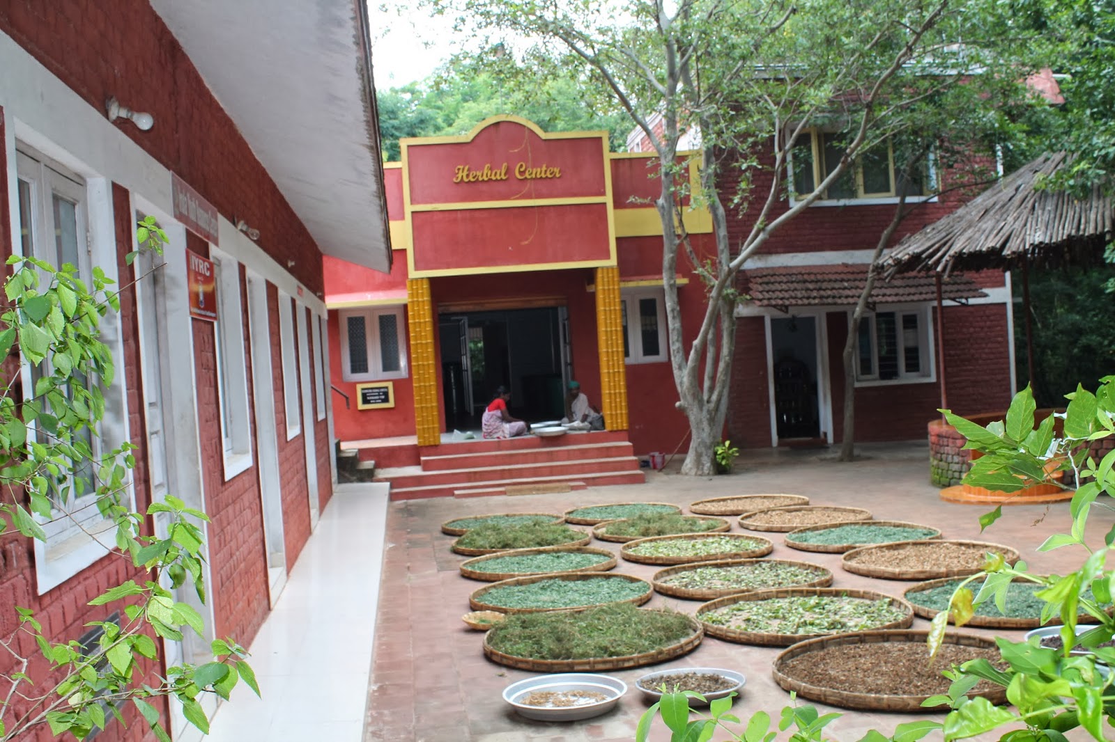 Pranav Inbavijayan Visit to Medicinal Plants Nursery Thandarai
