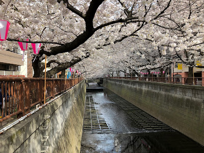 目黒川の桜2018