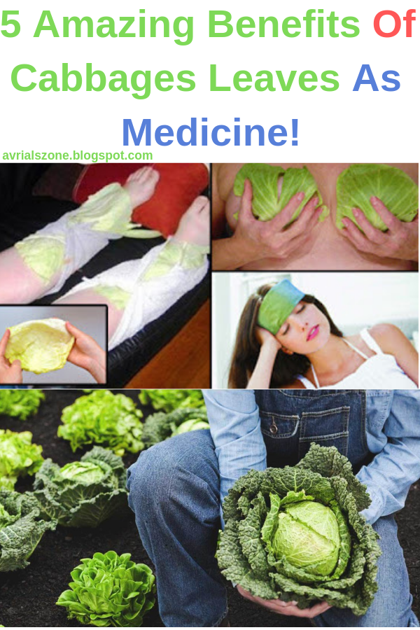 Healthy Beauty and Diet 5 Amazing Benefits Of Cabbages Leaves As Medicine!