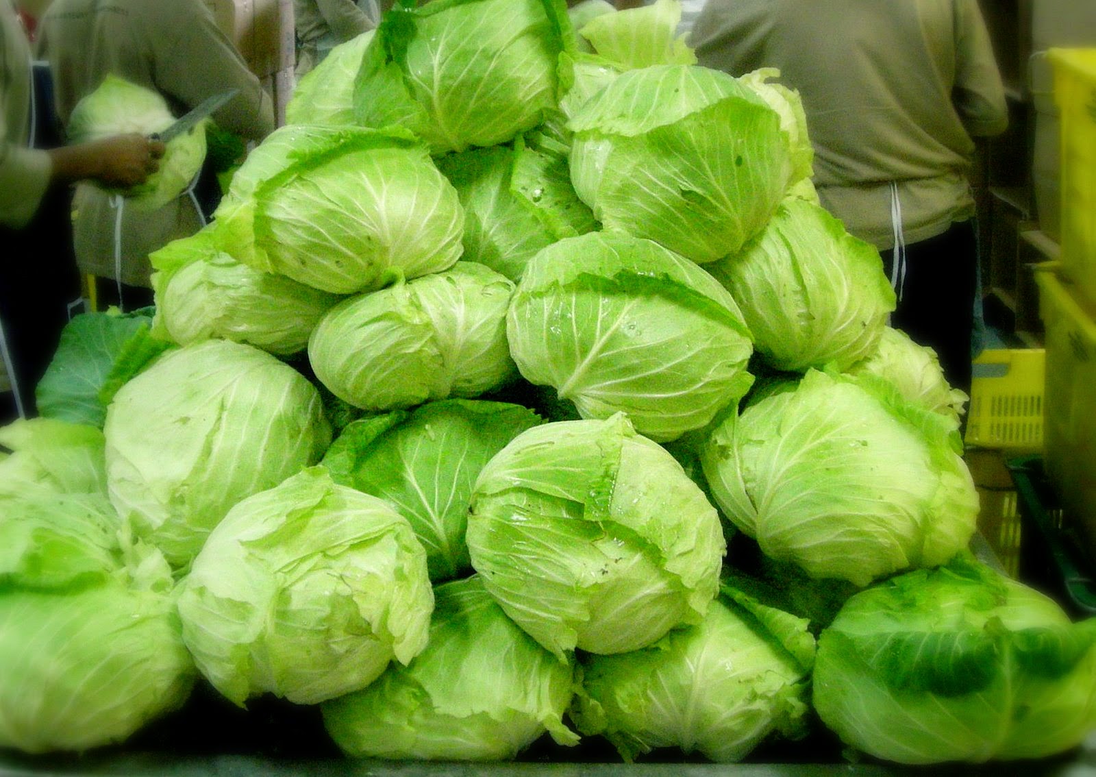 Benefits of cabbage for your health