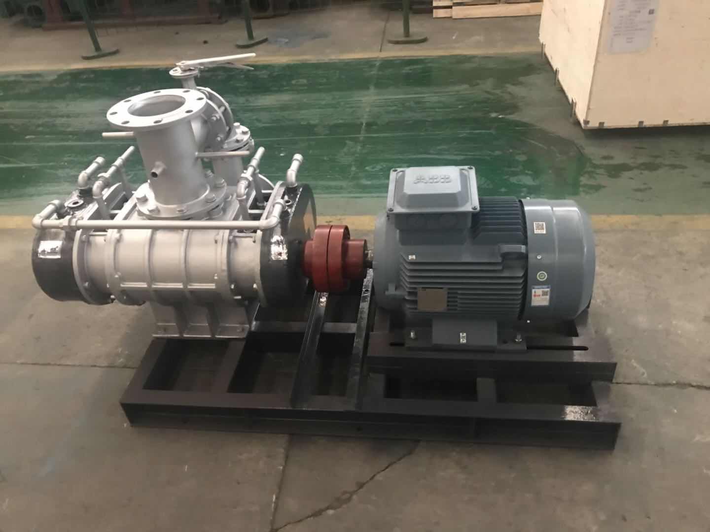Stainless Steel Roots Blower and Vapor Compressor