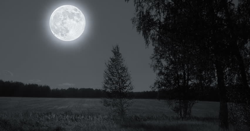 [Short Story] An Unsafe Bet - Chapter 2