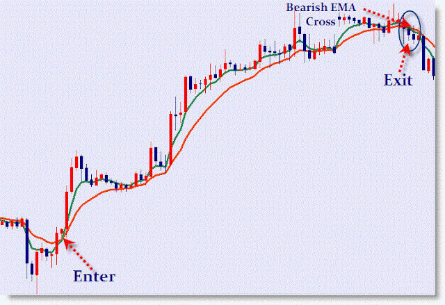 X forex