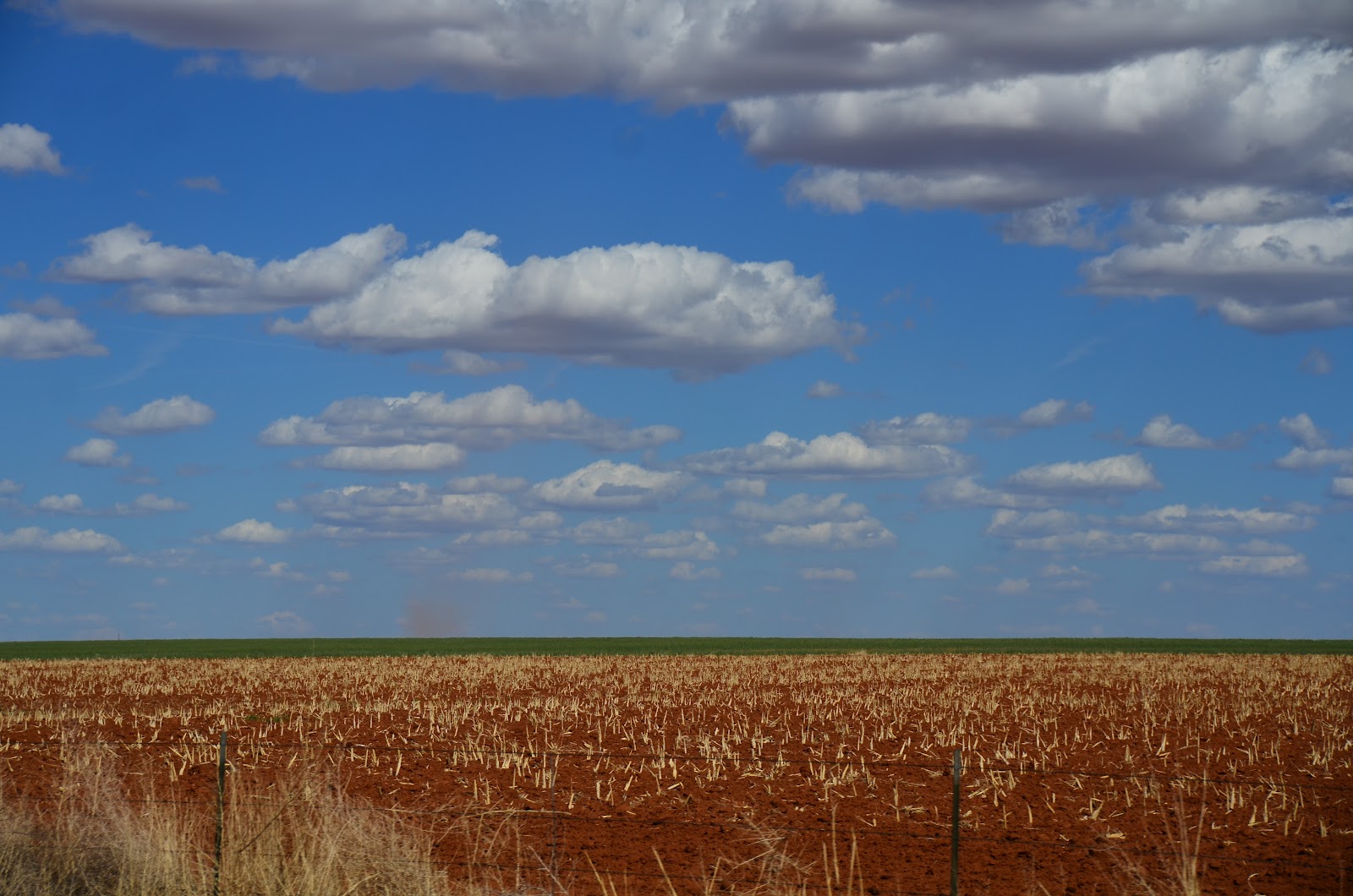 USA Road Trip Day 10 Calsbad NM to Amarillo TX