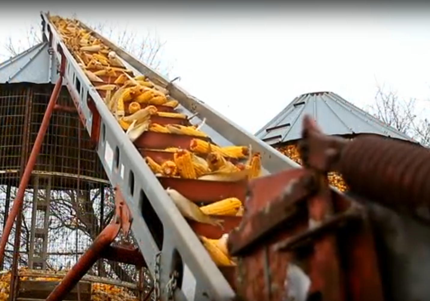 Industrial History More Corn Cribs