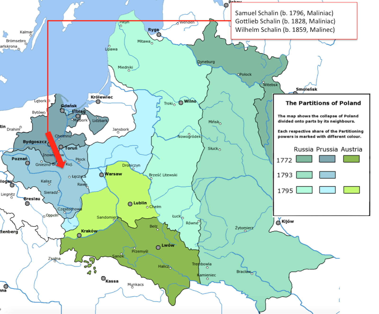 Tangled Roots and Trees: The Polish Partitions