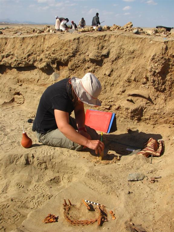 Oldest traces of canine bone cancer discovered at ancient Egyptian pet