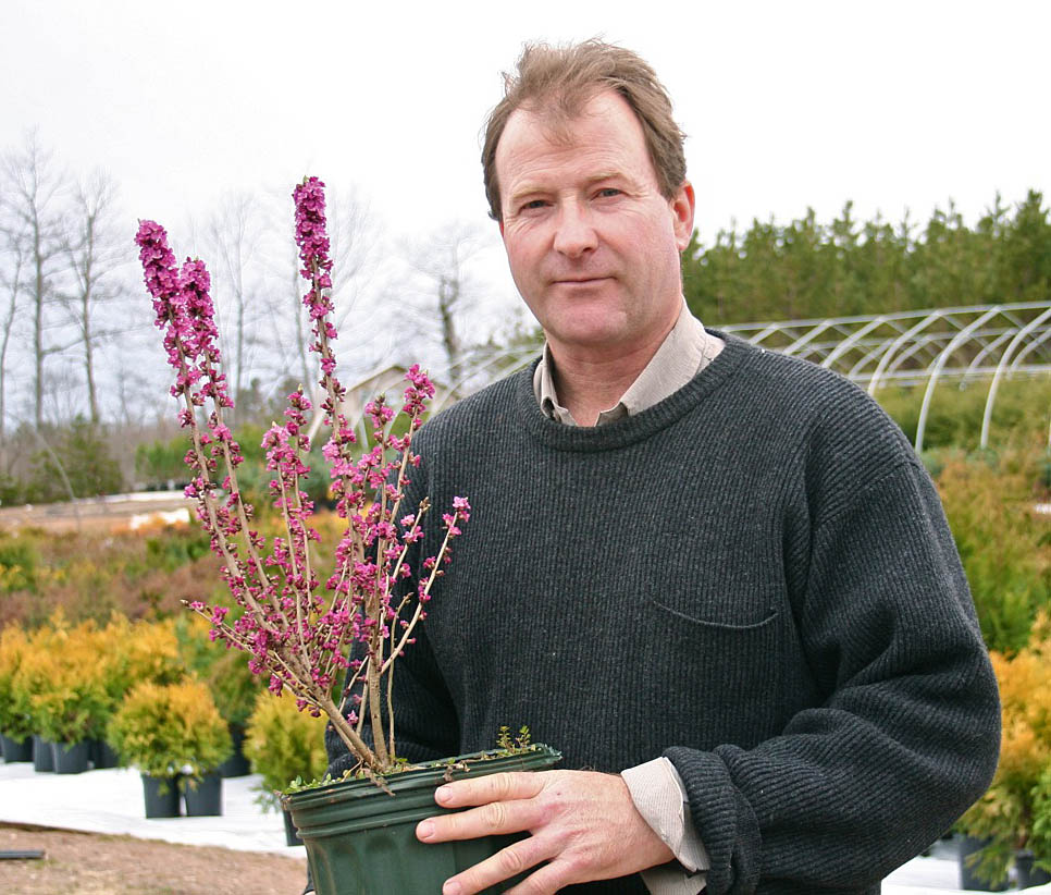 Baldwin Nurseries Perennials, shrubs, trees for Nova Scotia Gardeners