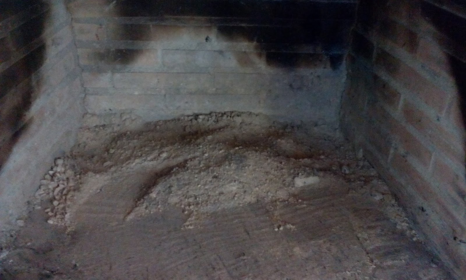 EL HUERTO ES FACIL: LA CENIZA EN EL HUERTO