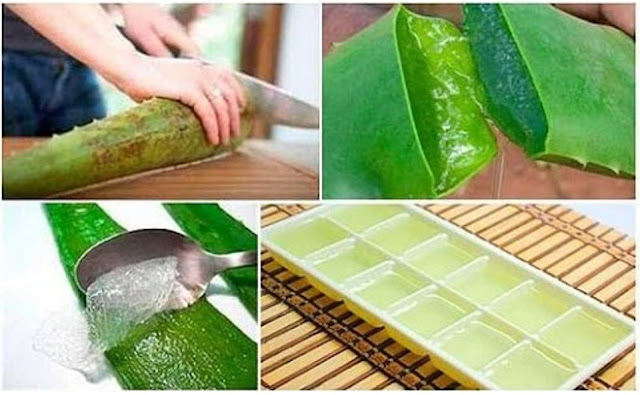 ¿Áloe Vera Congelada? Conoce Los Asombrosos Beneficios Para Usarla De Este Modo! ¿Áloe Vera Congelada? Conoce Los Asombrosos Beneficios Para Usarla De Este Modo!