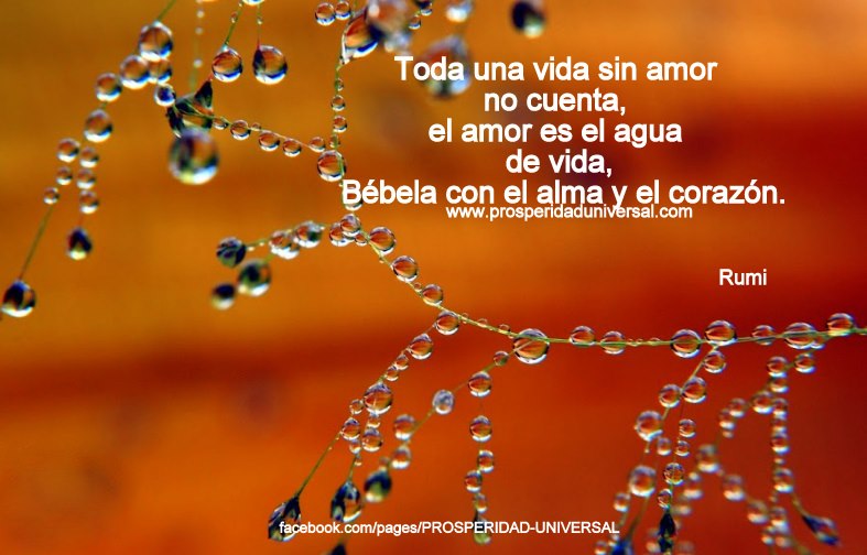 Cajón de Sastre Misterioso Rumi El amor es... Prosperidad Universal Cajón de Sastre Misterioso Rumi El amor es... Prosperidad Universal