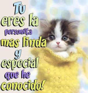 Frases de Amor en Imágenes Bonitas para Enamorar y Descargar Gratis Frases de Amor