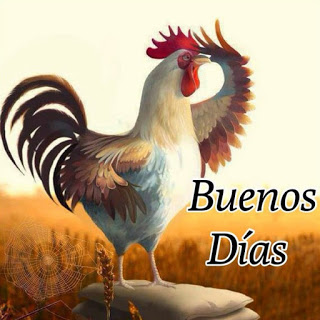 Imagenes de buenos dias con movimientos Imagenes de buenos dias con movimientos